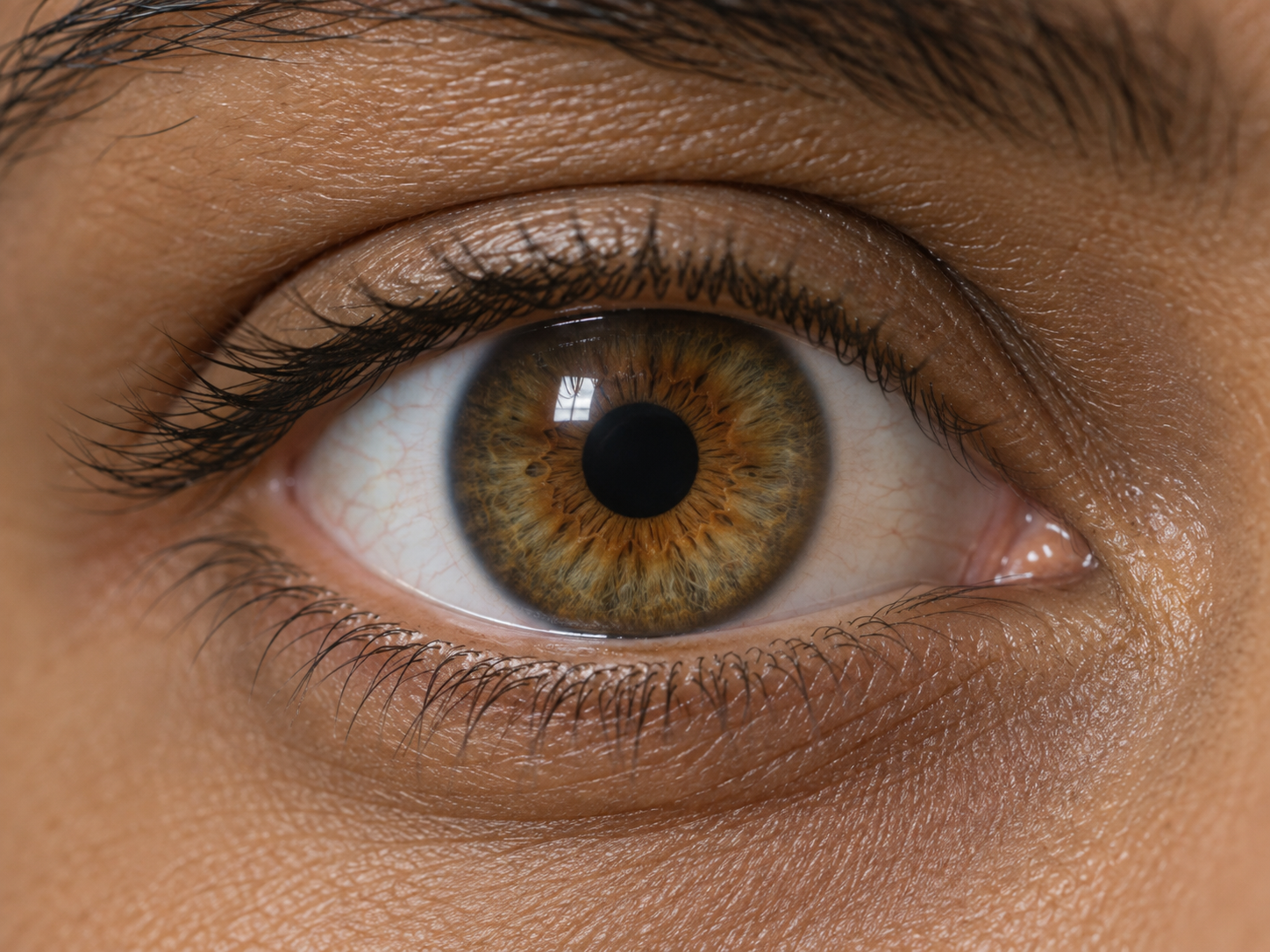 Close-up of an iris and pupil
